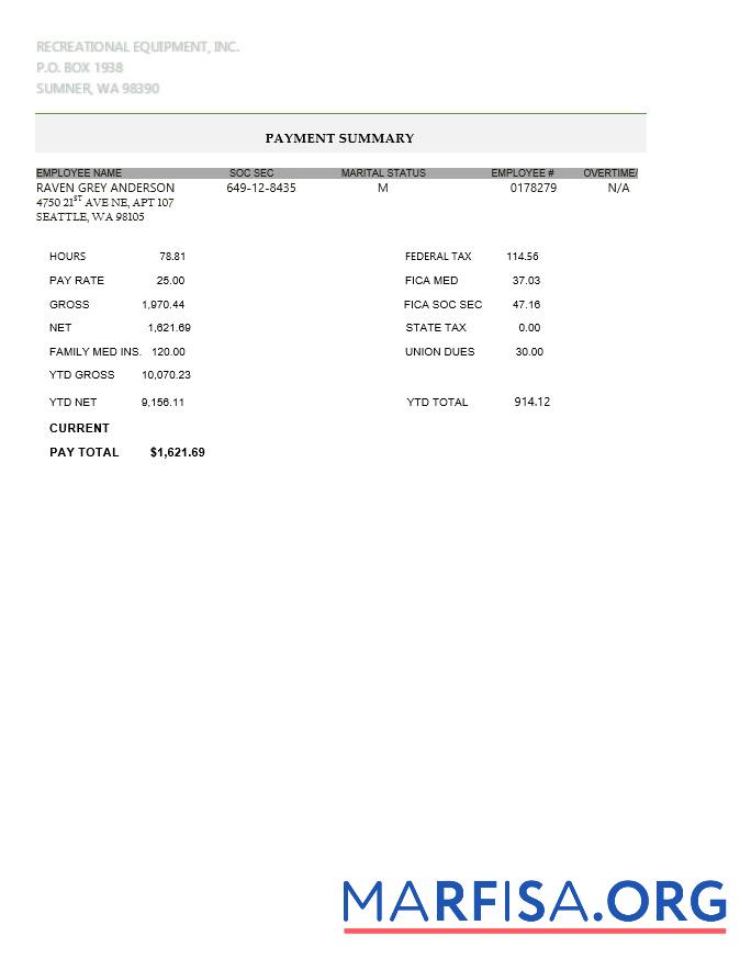 Downloadable Recreational equipment LLC pay stub template